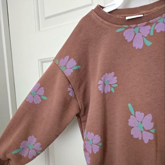 2/$20 Zara Brown and Purple Crew Neck Sweater Size 4 - Picture 2 of 4